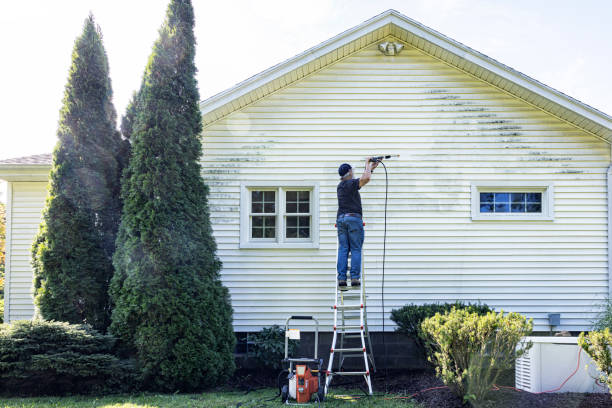 Best Roof Washing  in Ishpeng, MI